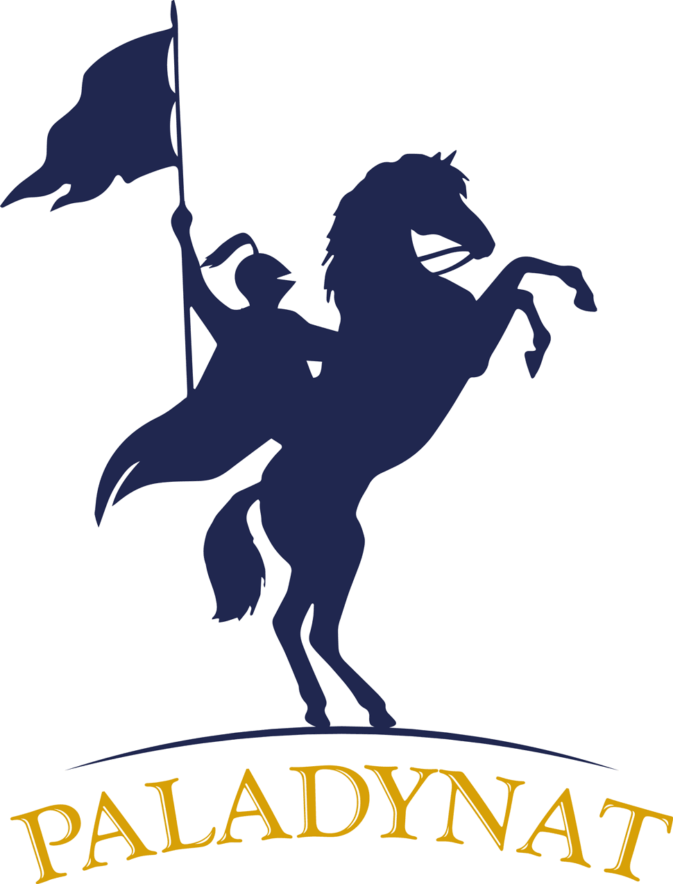 Logo-Paladynat